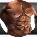 Anatomy and physiology of the chest muscles