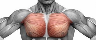 Для мужчин и женщин очень важно держать грудные мышцы в тонусе