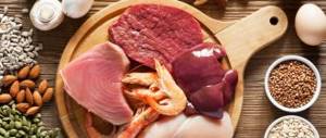 WHERE IS L-CARNITINE CONTAINED?.jpg
