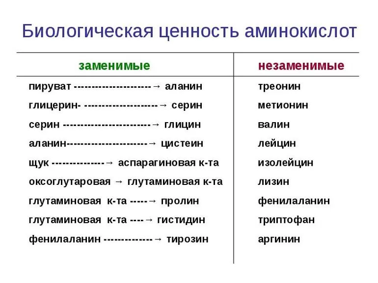 Незаменимые аминокислоты презентация