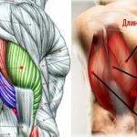 how to pump up triceps