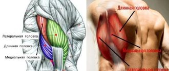 how to pump up triceps