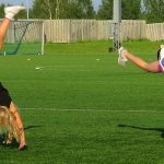 как сделать колесо