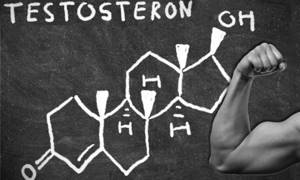 Как вырабатывается тестостерон в мужском организме