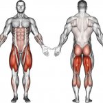 Какие мышцы развиваются с помощью приседаний