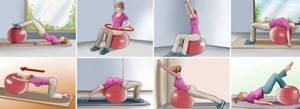 Комплекс упражнений на гимнастическом мяче для спины и позвоночника