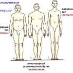 Конституция тела человека. Что это, типы, виды, как определить, тесты