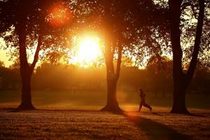 Пробежка солнечным утром по парку