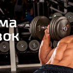 Training program for gaining weight