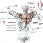 Расположение трапеции