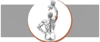 Extension of the arm from behind the head