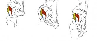 triceps extensions