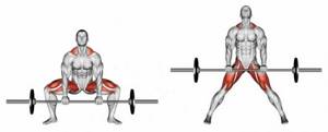 становая тяга сумо какие мышцы работают