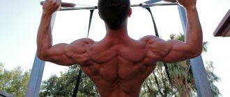 Тренировка мышц спины на TRX