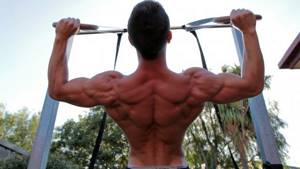 Тренировка мышц спины на TRX
