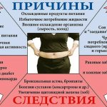 Упражнения для живота и боков, чтобы убрать жир на талии. Эффективные тренировки в домашних условиях