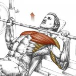 Incline Bench Press