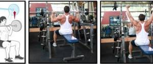 Seated barbell press, execution technique